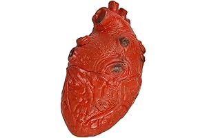 Beating Heart Halloween Prop: The Ultimate Haunted House Decoration