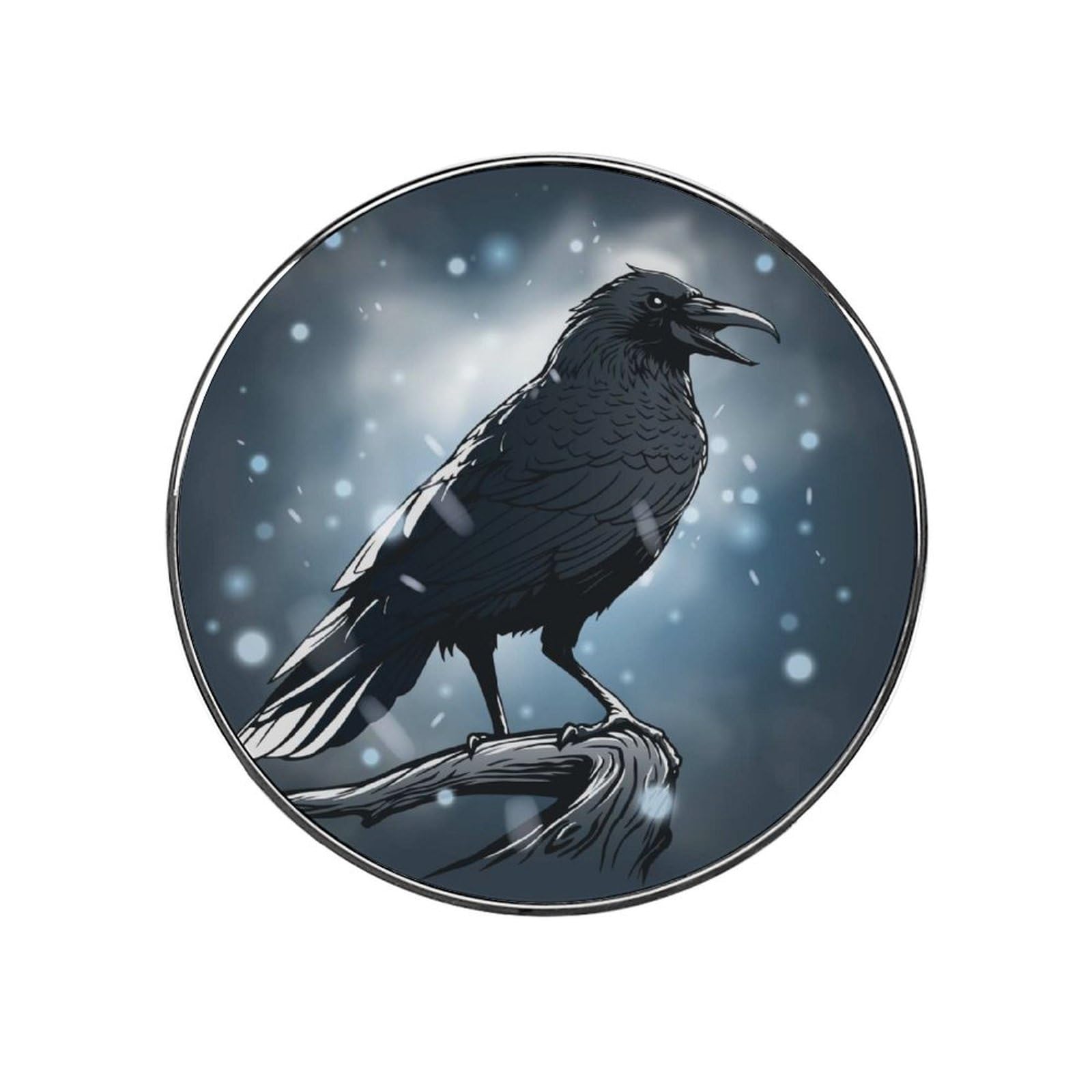 Bird Magnets For Fridge Kitchen Decoration For Refrigerators Whiteboards