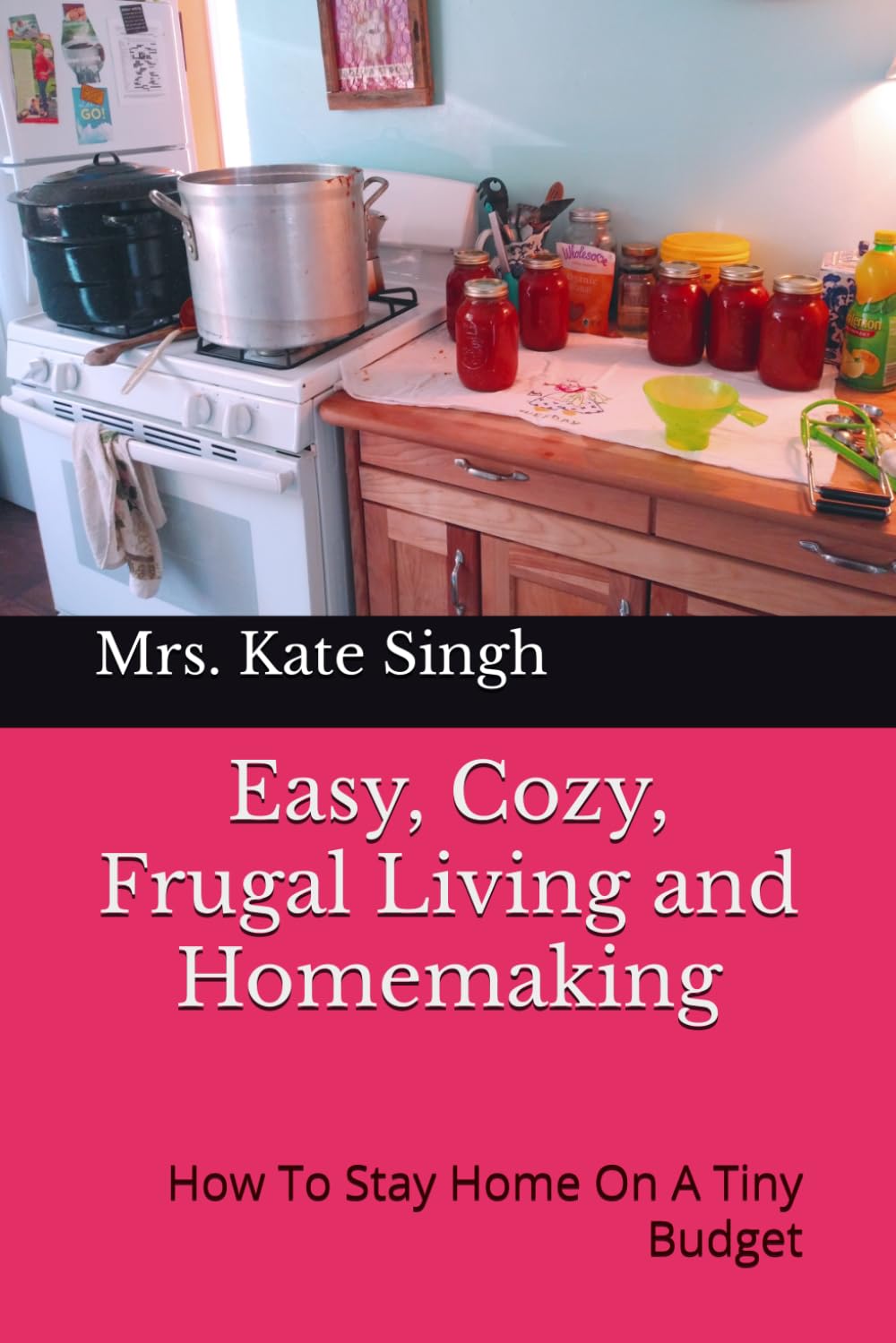 Easy, Cozy, Frugal Living and Homemaking: How To Stay Home On A Tiny Budget