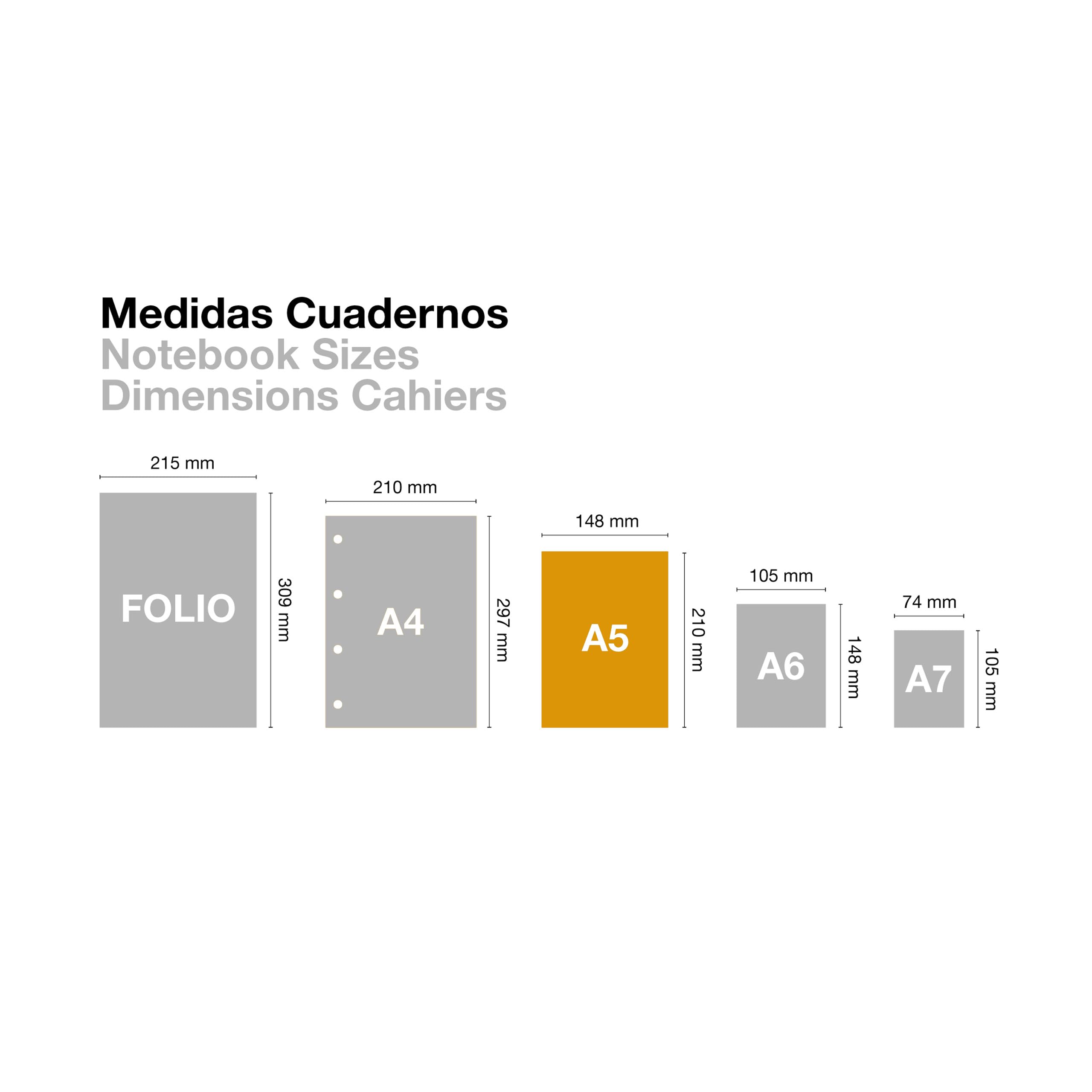 Miquelrius, A5 notebooks (142 x 210 mm) stitched, pack of 3 notebooks, white dotted interior, 32 sheets of 80 g/m² each - Image 4