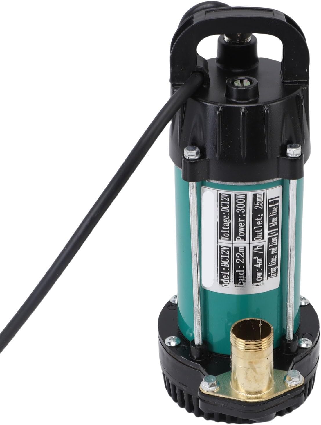 LiebeWH 300W Submersible Pump, Stainless Steel Portable with 1in Outlet and 8.2ft Power Cord, for Farm Pond Industrial Wastewater Transfer (DC12V)