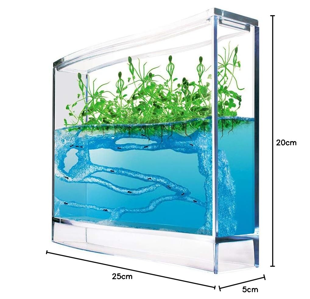 Monsterzeug Gel écosystème pour fourmis terrarium Antquarium Super Forest Ant avec graines de plantes et loupe