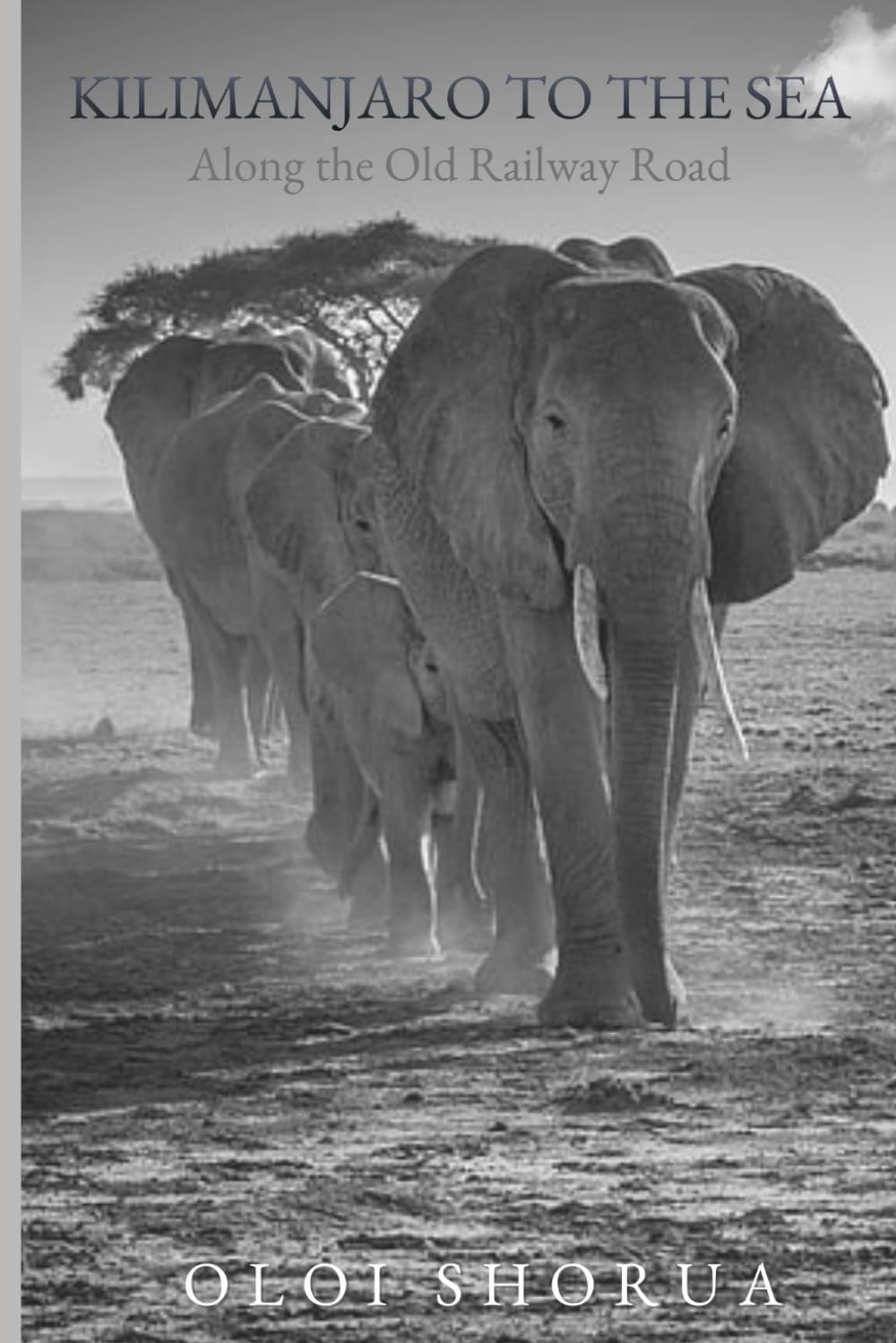Kilimanjaro to the Sea: Along the Old Railway Road: 5 (Landscapes & Legacies of East Africa)