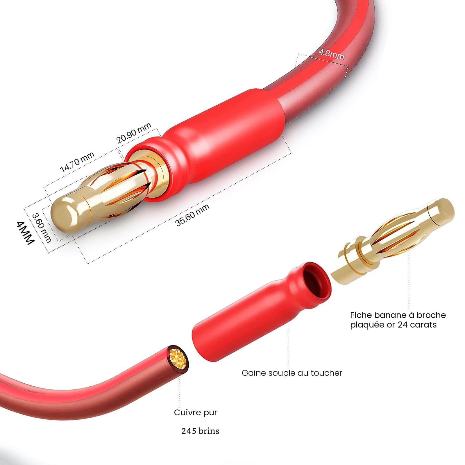 LONPOO Câble d'enceinte HiFi en Cuivre Pur avec Connecteurs Banane Plaqués or, 14 AWG, 2 m LP42 Passive Haut-parleur (paire)