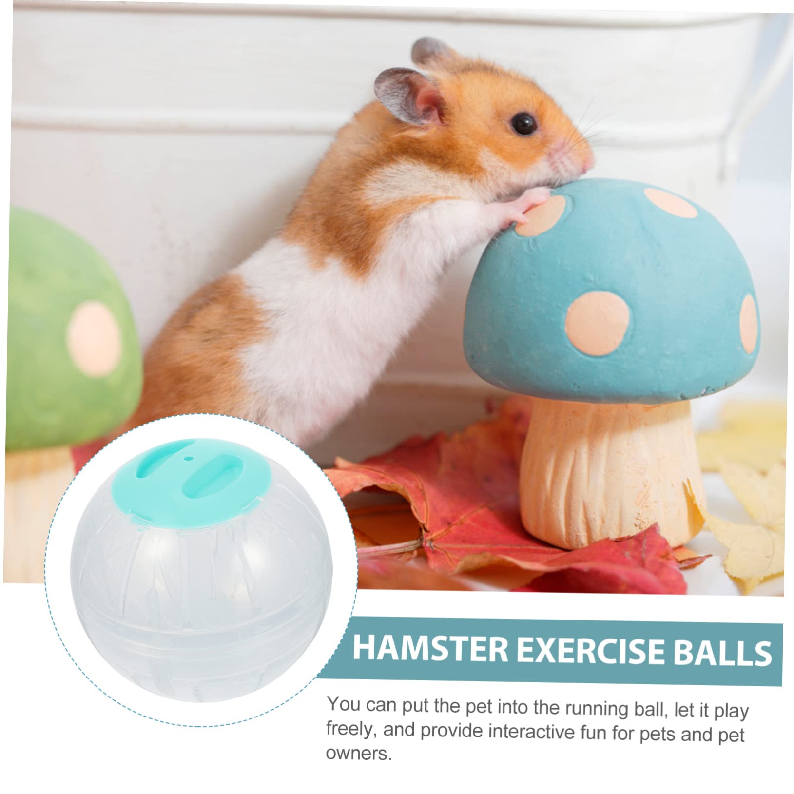 4stücke Hamster Laufball Für Kleine Tiere Transparente Übungsbälle Für Hamster Zwerghamster Mäuse Und Igel Von Bewegung Und Fitness Im Käfig