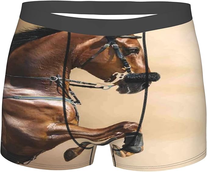 Men's Underwear, Horses Chestnut Color Horse Jumping In Hackamore Life