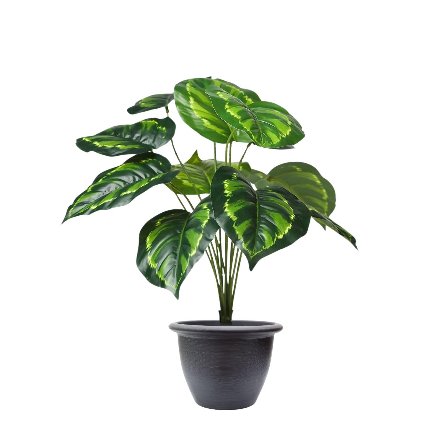 See full amazon price history chart for Go Hooked Artificial Philodendron Plant with Pot | 12 Green Patterned Leaves | Ornamental Plant for Interior Decor/Home Decor/Office Decor Go Hooked Artificial Philodendron Plant with Pot | 12 Green Patterned Leaves | Ornamental Plant for Interior Decor/Home Decor/Office Decor (B0D4QQ94XH) Amazon Price History, Amazon Price Tracker