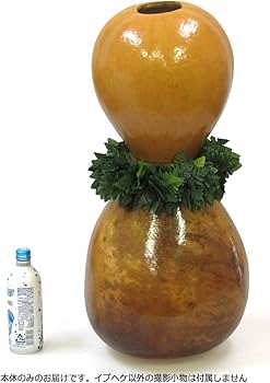 モニカ　　フラダンス　イプ Amazon | [Marylei] フラショップマリレイ イプヘケ 楽器