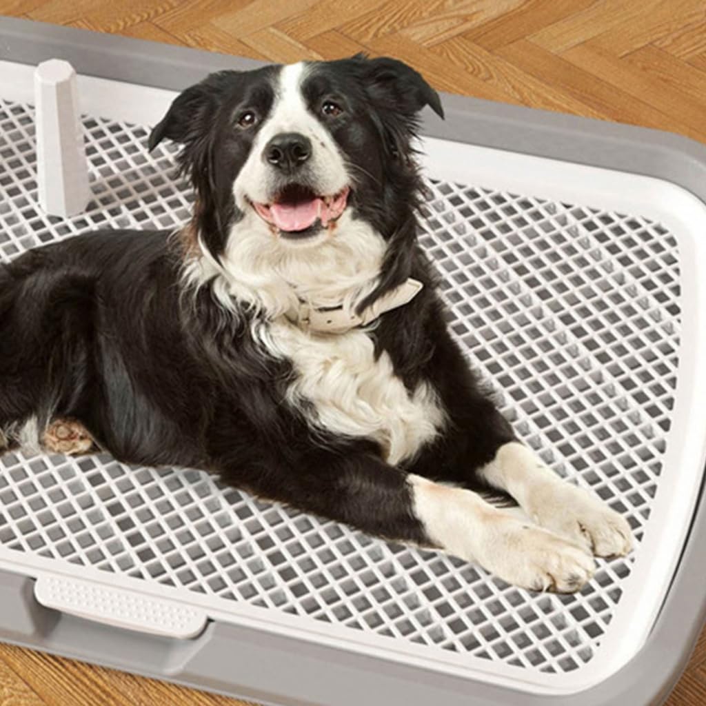 Grand bac d'urinoir pour chien avec vertical pour chien