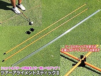 テンセイ アライメントスティック 2本 非売品 テンセイ アライメントスティック 2本 非売品 テンセイ