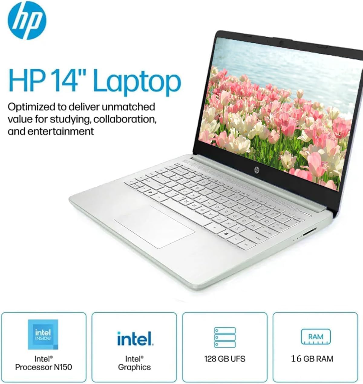 Amazon.com: HP Business Student Laptop Computer - Windows 11 Pro