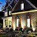 Outdoor Landscape lighting Low Voltage, 65.6FT Wired LED Spot light with Plug-in Transformer, IP65 Waterproof Outside Uplight 18W 1800LM for Yard Garden Tree Pathway House, Warm White 3000K, Pack of 6