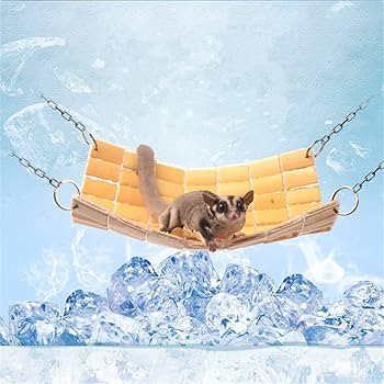 小動物用ハンモック あったか ベッド 年中使える ハムスター フェレットブランコ 51Z9i-DG3CL.jpg_BO30,255,255,