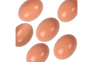 Wooden Eggs 6 Pcs Fake Chicken Eggs Dummy Nest Egg