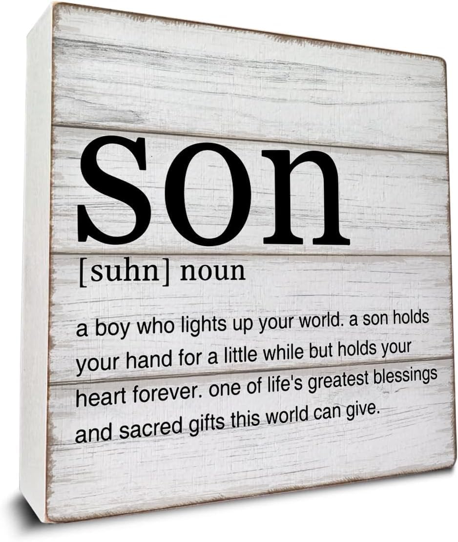 Son Definition Box Sign 7x7 Inch Rustic Wood Farmhouse Decor