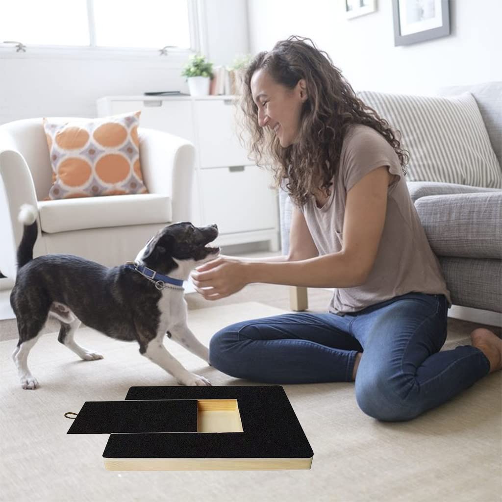 Planche à gratter pour griffes de chien – Outil de ponçage rugueux pour chiens sensibles – Solution de soin des pattes sans anxiété