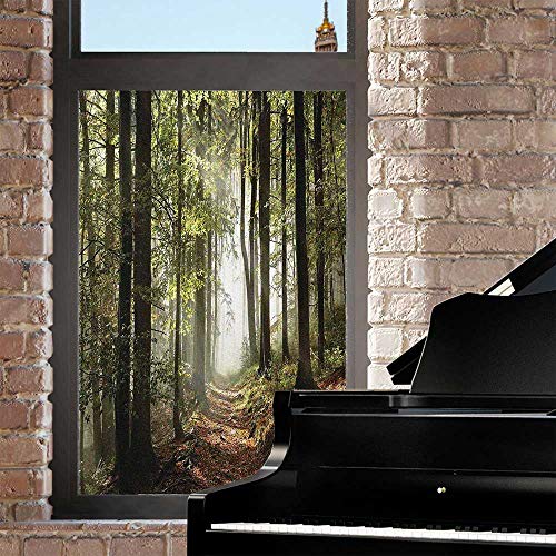 Vinilo decorativo para ventana 60x90cm Wendaoblt miniatura 2