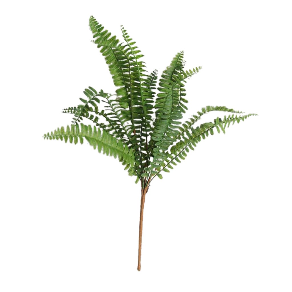 Buy solaris 1Bouquet 15Heads Artificial Silk Fern Plant Green Grass Home Garden Decor Online at