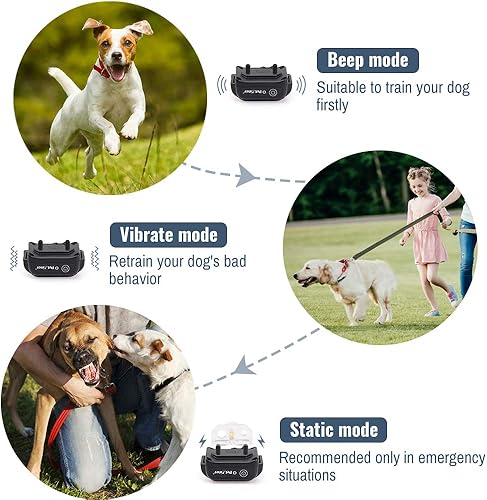 Miniatura 2 de Petrainer PET998DB1 Collar de entrenamiento para perros recargable e impermeable de 330 yardas con pitido seguro, vibración y choque eléctrico