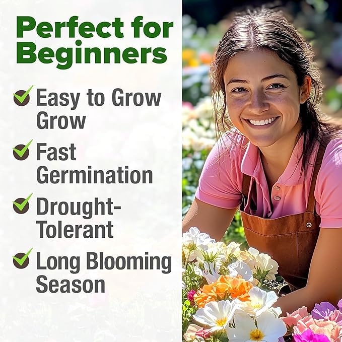 Image of HOME GROWN 47000+ Moss Rose Seeds (Bulk Pack) Annual Flower for Ground Cover - Heirloom Non-GMO Portulaca Seeds for Planting Outdoors - Great for Low-Maintenance Gardens (Portulaca grandiflora)