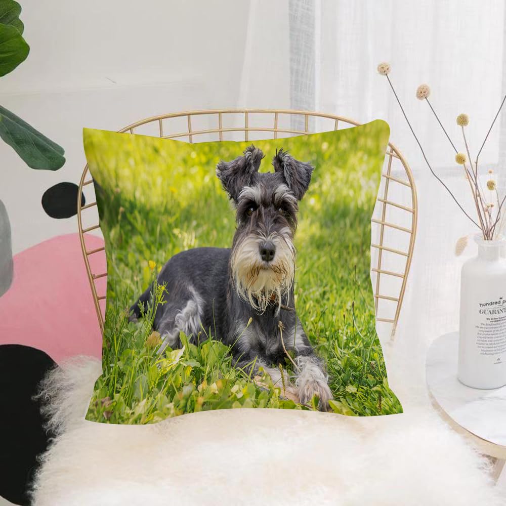 HYOSXW Cushion Cover,Throw Pillow Case Home Decorative for Living Room Bedroom Sofa Chair 16X16 Inch,Mini beautiful portrait of Miniature Schnauzer,Pillowcase 40X40cm