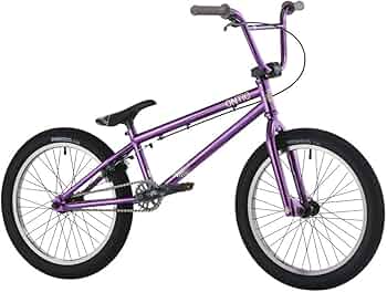 61sZX5WutjL._AC_UF350,