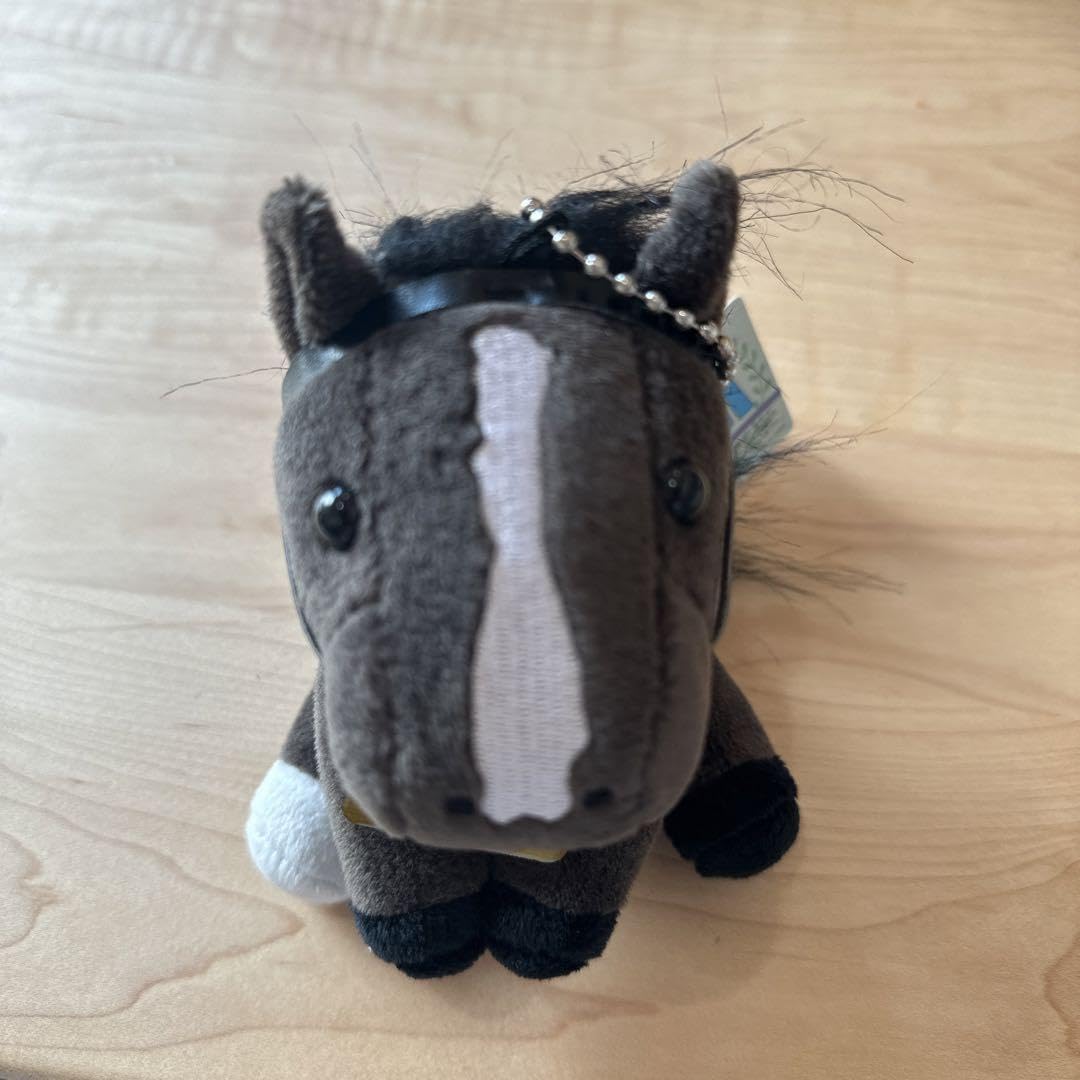 Amazon.co.jp: イクイノックス ドバイシーマクラシック