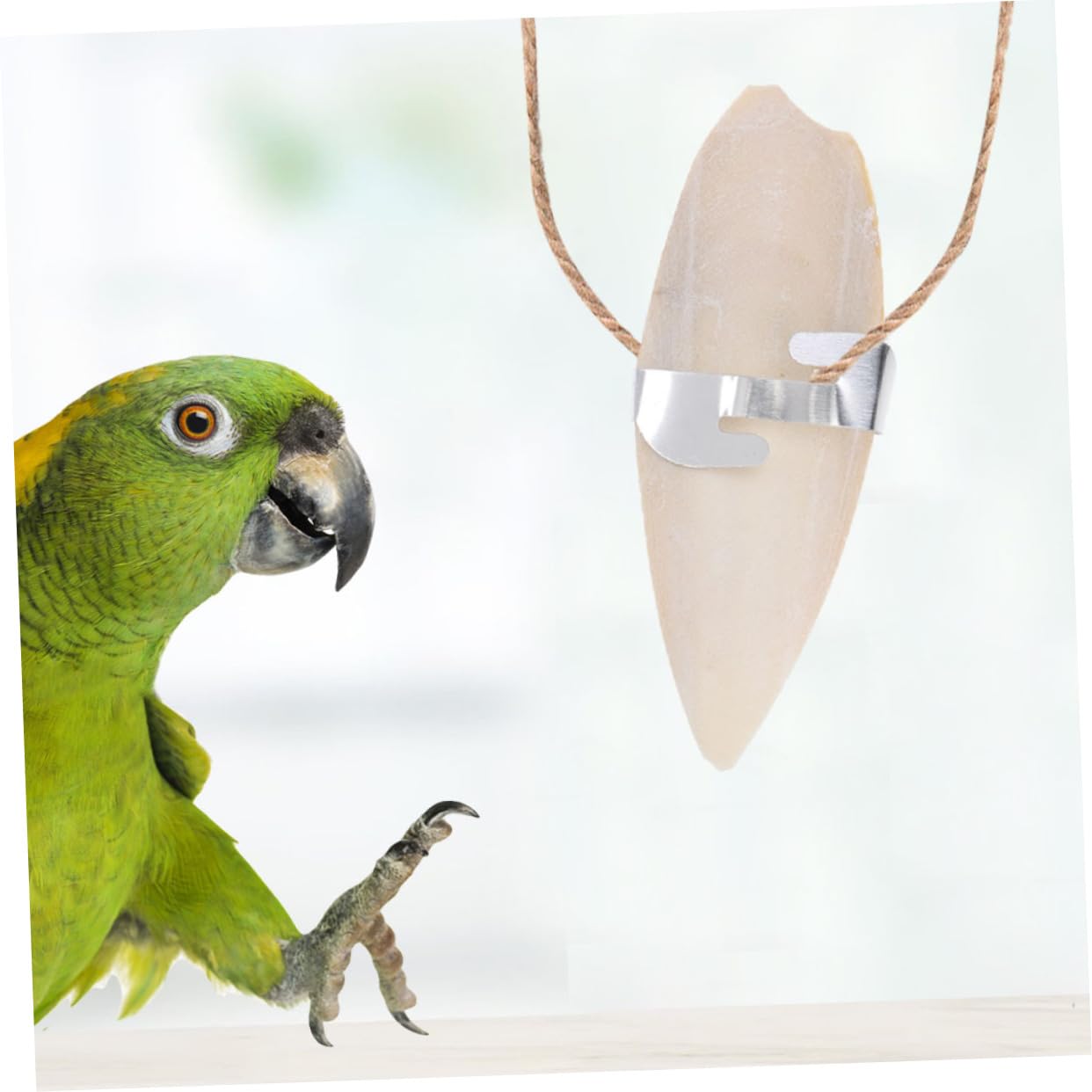 BESPORTBLE 30pièces Jouets à Mâcher pour Oiseaux Accessoires Amusants De Seiche pour Perruches Et Perroquets Stimulez Activité Physique Et Fournit Un Supplément De