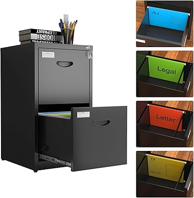 Amazon.com: Topass 2 Drawer File Cabinet, Metal Vertical File Cabinets ...