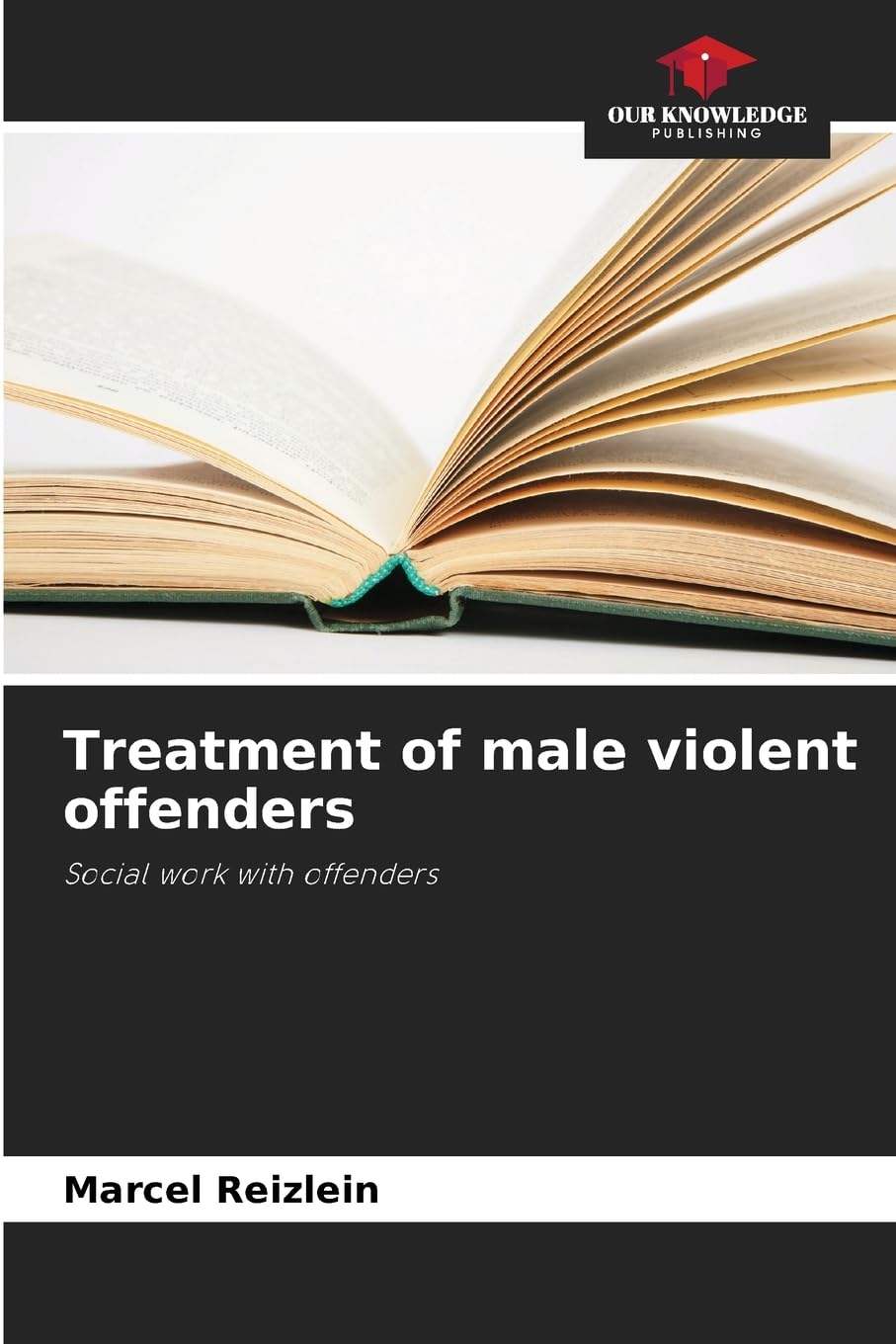 Treatment of male violent offenders: Social work with offenders