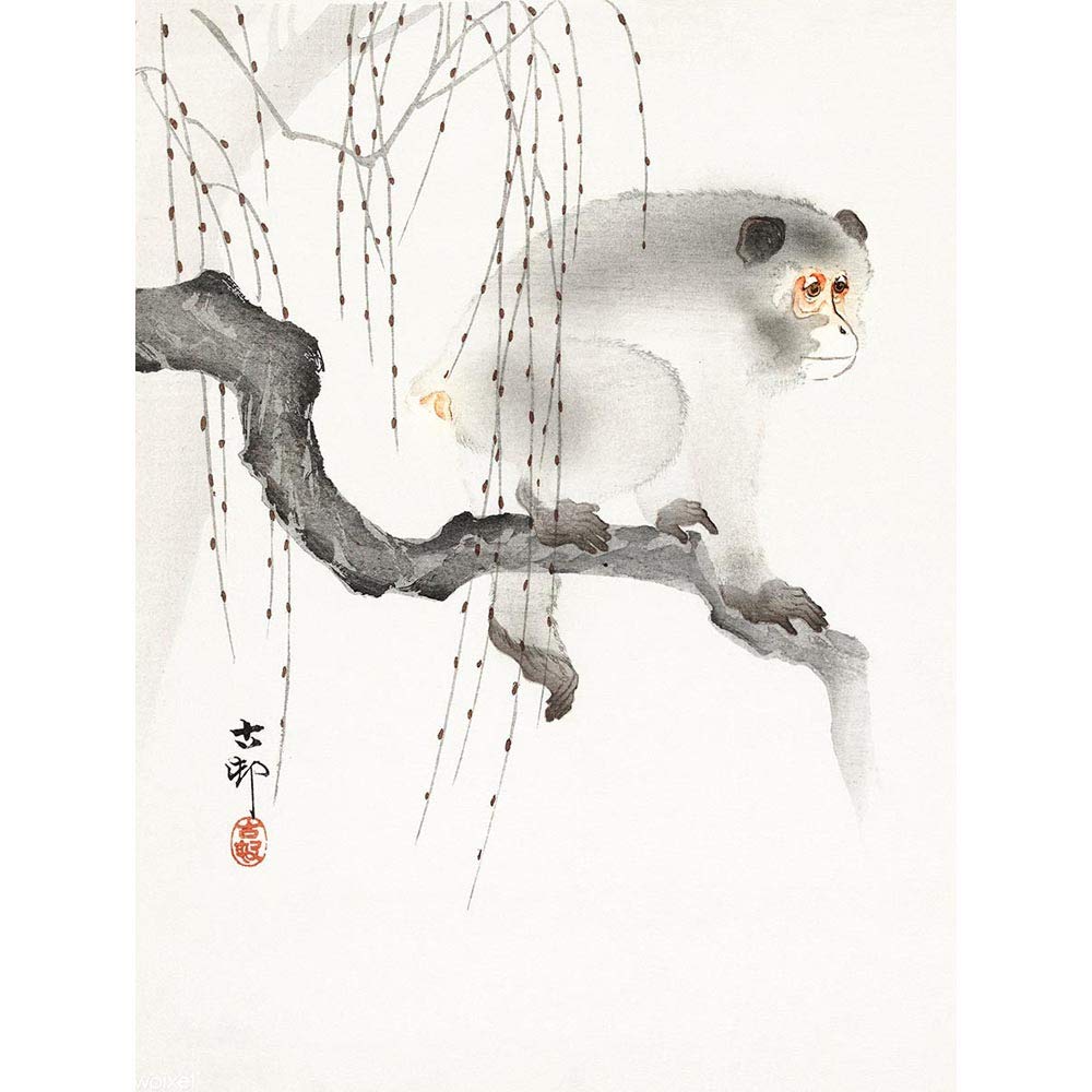 Wee Blue Coo Monkey Tree Branch Ohara Koson Art Print Poster Wall Decor 12X16 Inch