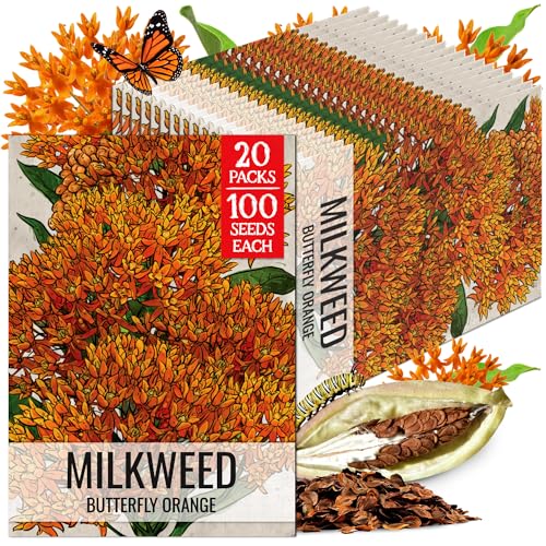 Image of Seed Needs Orange Butterfly Milkweed Seeds for Monarch Butterflies 20 Pack