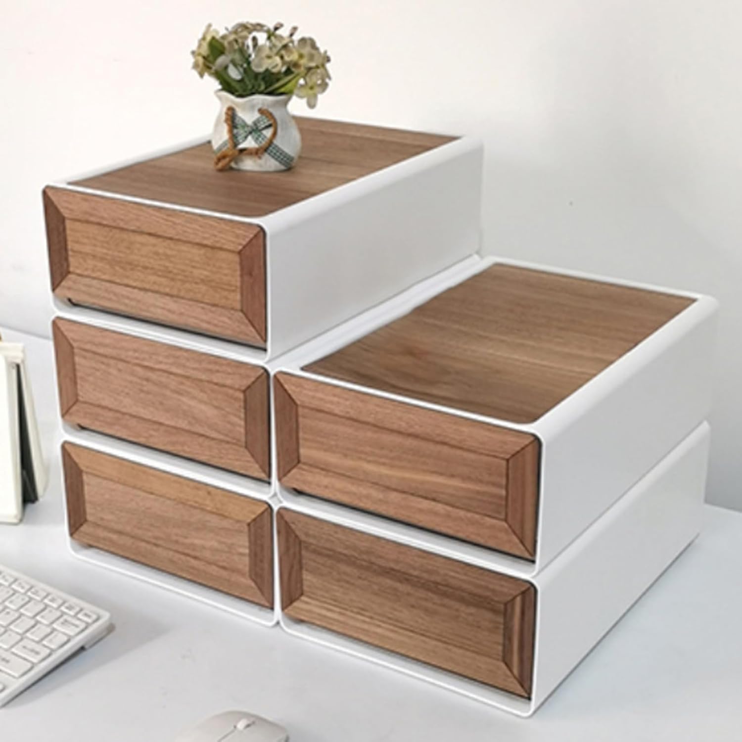 人参ガジュマル斑入り3寸サイズ　接木、挿木ではありません‼️白系かなり希少 人参ガジュマル斑入り3寸サイズ 接木、挿木ではありません‼️白系