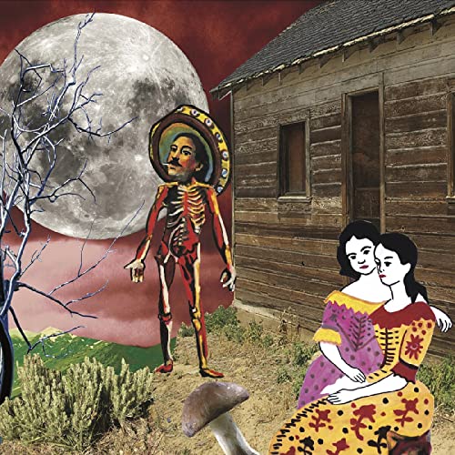 In the West [Vinyl LP]