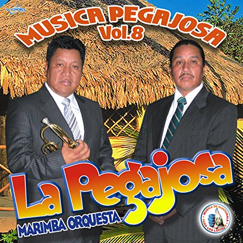 Música Pegajosa Vol. 8. Música de Guatemala para los