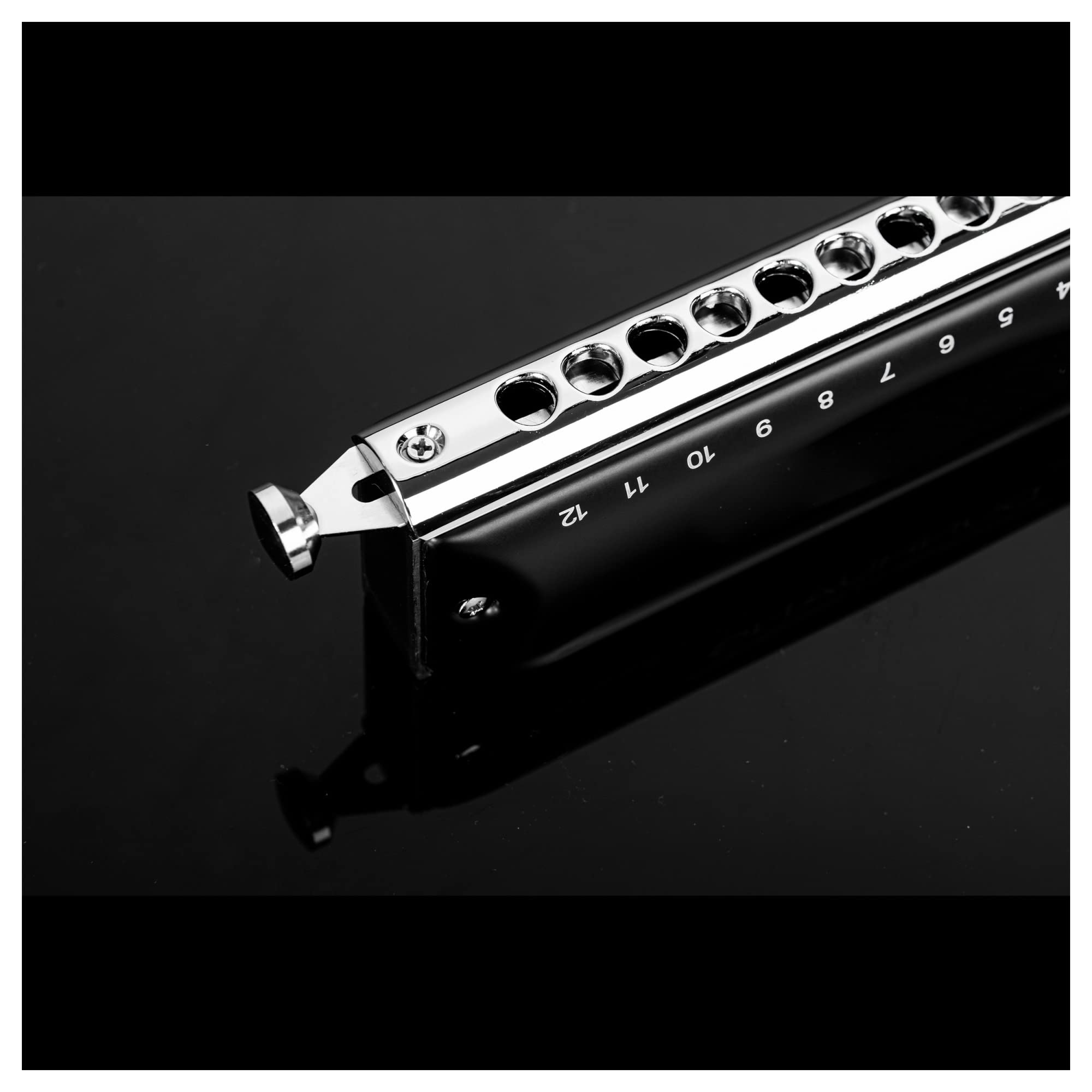 Profesjonalny Harmonijka 24 Otwory Tremolo Harmonica Key Of C Mouth Organ Dla Profesjonalistów I Studentów