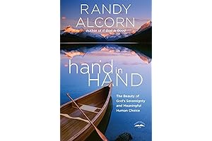 Hand in Hand: Understanding God's Sovereignty and Meaningful Human Choice