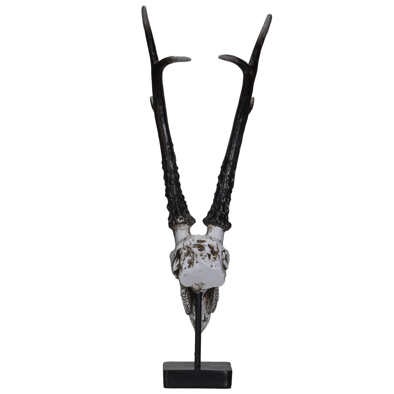 鹿の角　頭付き　専用 Amazon.co.jp: SUMMIT COLLECTION ポリストーン 鹿の頭蓋骨 金属