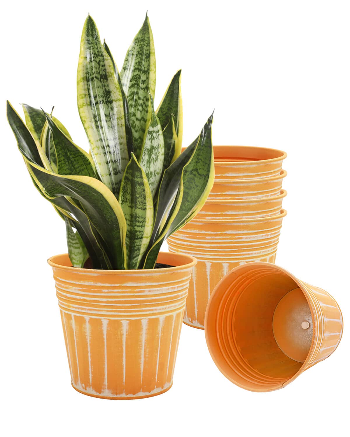 vensovo 7 Inch Galvanized Bucket Planter 6-Pack