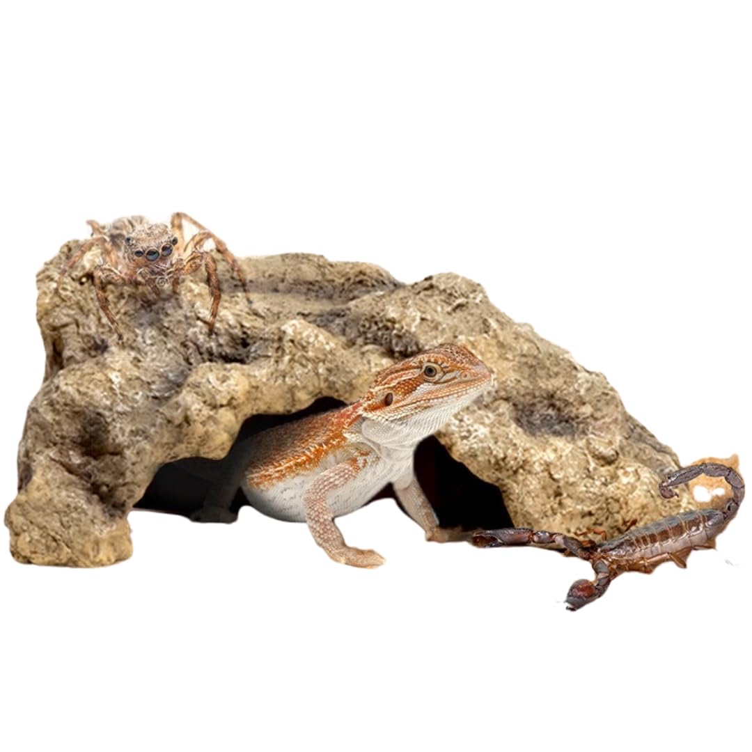 爬虫類　角型シェルター　1 爬虫類 角型シェルター 1 【公式通販】