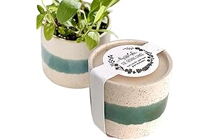 Edith - The Glow and Grow Candle Kit (Sandalwood & Vanilla Scent)