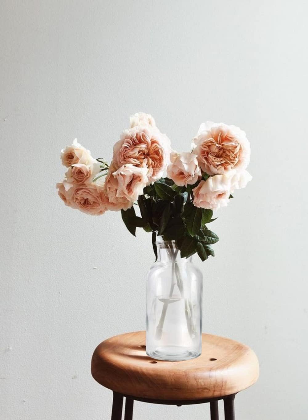 Serene Spaces Living Set of 2 Decorative Clear Glass Bottle Vases with Cork Stoppers, Vintage Wedding Decor, Use for Floral Centerpieces at Wedding, Party, Event, Measures 8" Tall & 4" Diameter