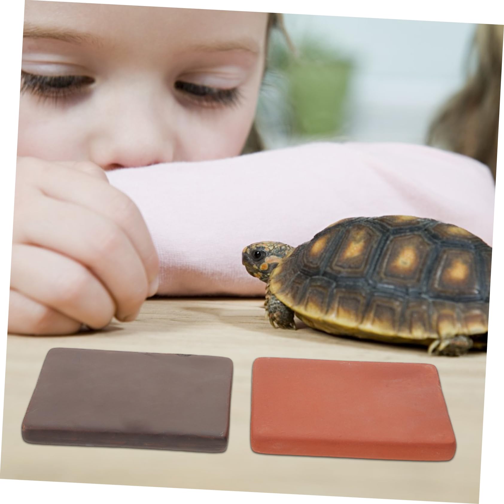 Gatuida 6 Piezas de Hechos Mano para Decoración de Terrarios de Tortugas Terrestres Bloques Resistentes y Seguros para Hábitats Naturales Acuarios y Terrarios