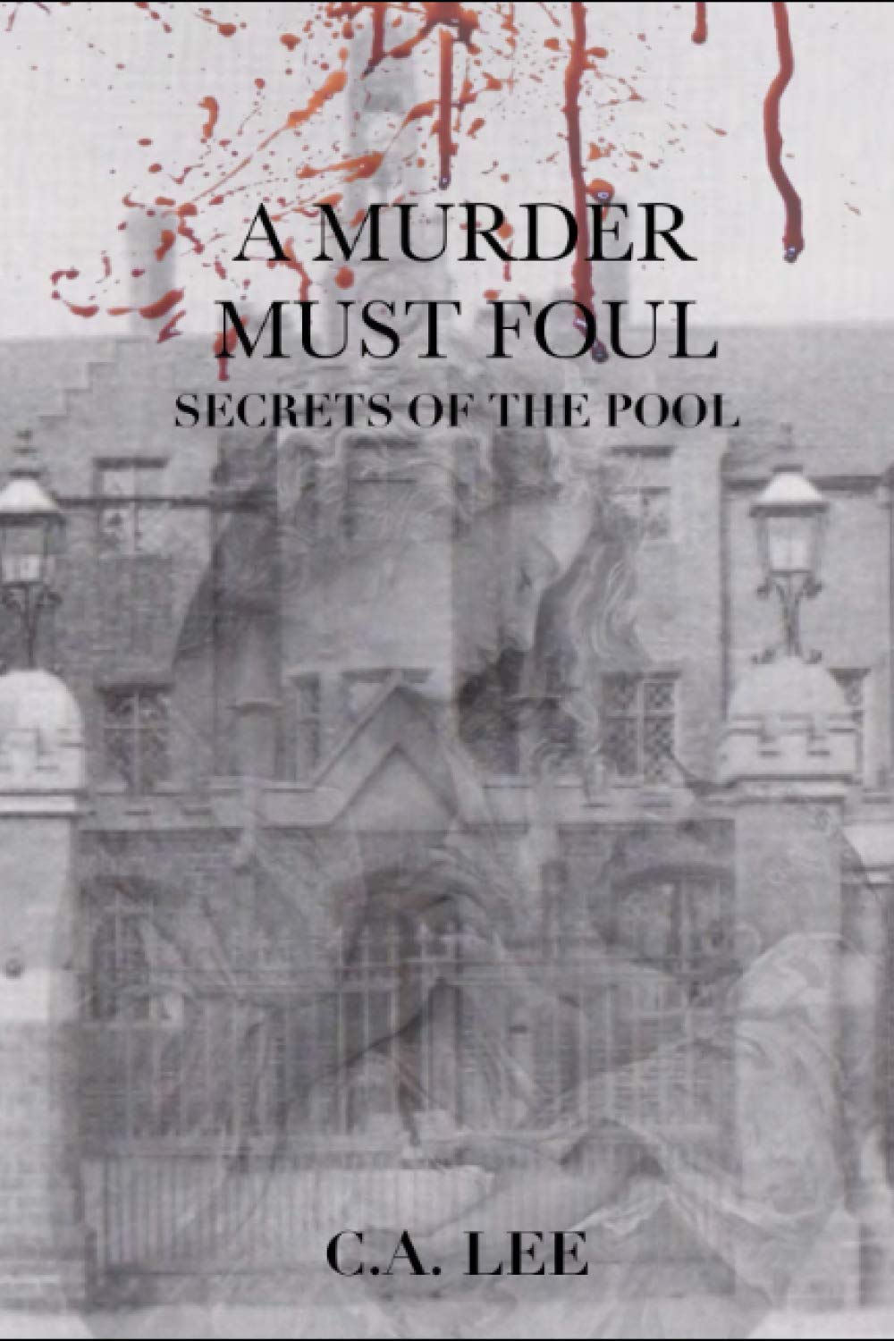 A Murder Must Foul: Secrets of the Pool