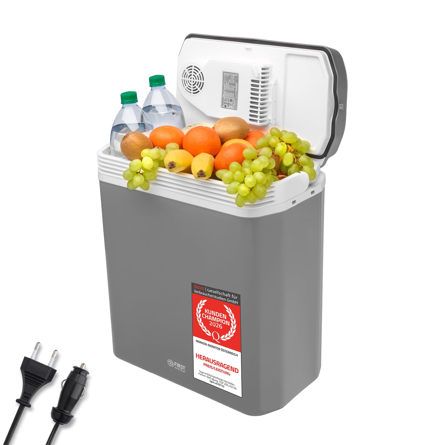 TZS First Austria - Kühlbox 24L elektrisch 12V 230V Anschluss für Auto & Steckdose - Thermoelektrische Cool Box kühlt & wärmt - Mini Kühlschrank mit Griff - Für Camping, Festivals, Reisen - Grau