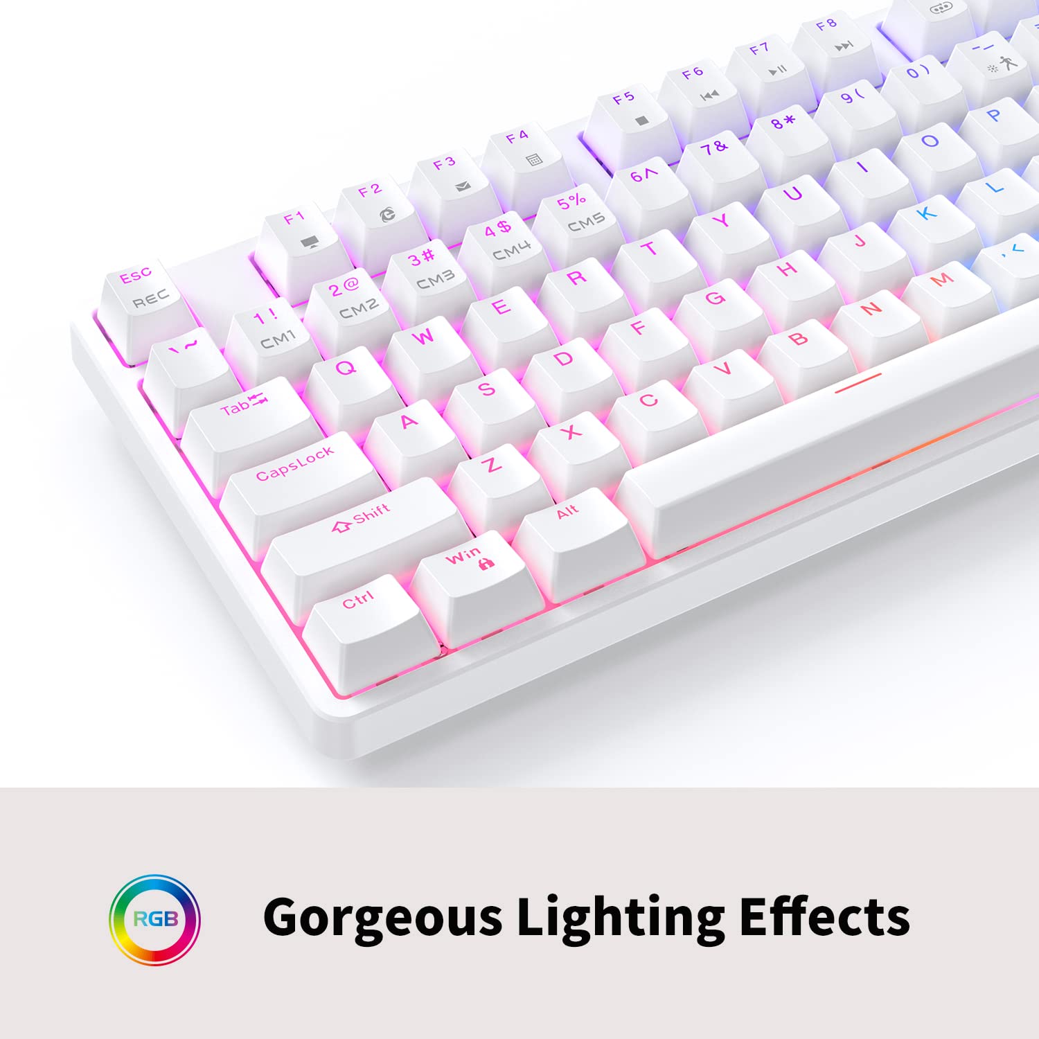 Buy CIY X77 HotSwappable Mechanical Keyboard/RGB Gaming Keyboard/USB C