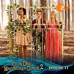 Verschwunden im Zauberwald. Das Original-H&ouml;rspiel zur TV-Serie cover art