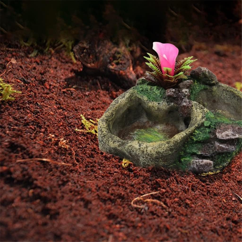 Reptile Water Dish Food Bowl Resin Feeder Bowl for Tortoise Lizard Pet Products (Color : C) (B)