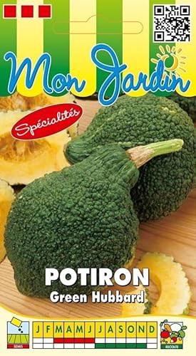 Sachet de graines de Potiron Green Hubbard - 3 g - légume fruit - LES GRAINES BOCQUET