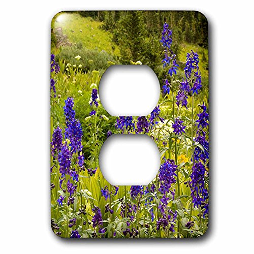 Cache-prise violet protection murale 3dRose lsp_120089_6 plaque interrupteur